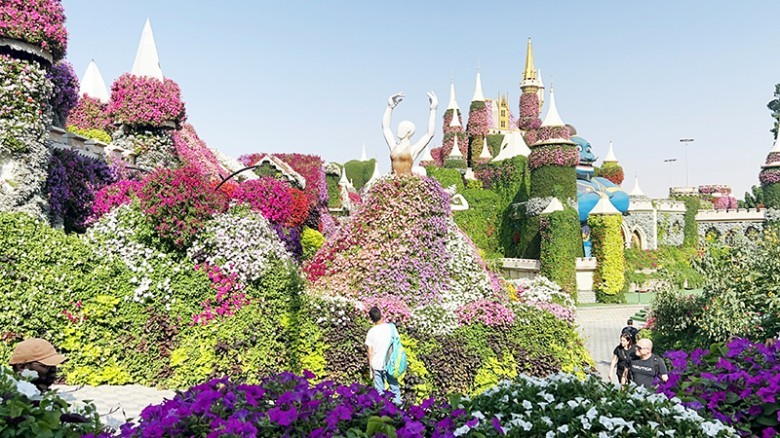 A flower garden in the heart of the desert